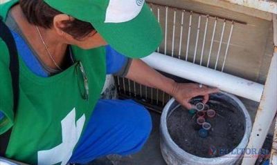 Se produjo la primera muerte en el NEA de un paciente con s�ntomas de dengue