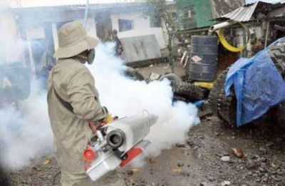 Dengue: los repelentes y la limpieza, �nicas armas contra la enfermedad