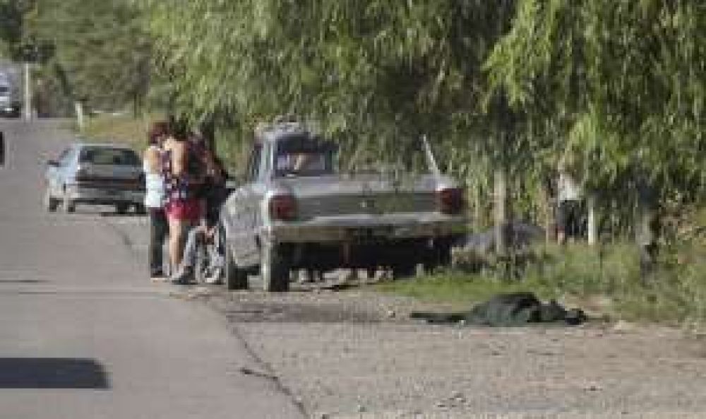 Muri� arrollada en ruta 270, igual que un hermano suyo