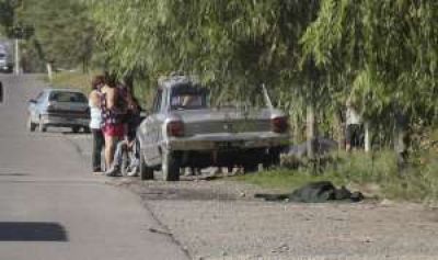 Muri� arrollada en ruta 270, igual que un hermano suyo