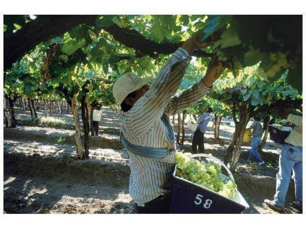 Gobierno y productores hablar�n de los precios de la uva, vino y mosto