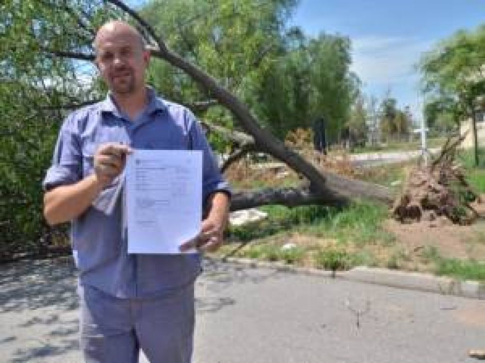 Parque Industrial: un �rbol bloquea una calle hace casi dos meses