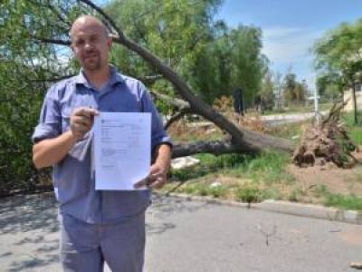 Parque Industrial: un �rbol bloquea una calle hace casi dos meses