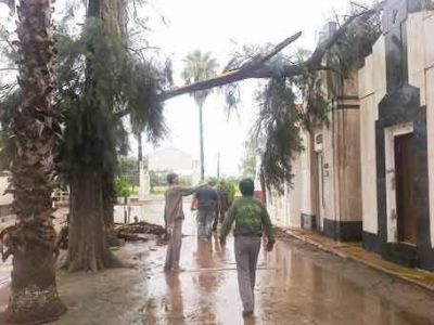 Violento temporal de lluvia y viento azot� a S�enz Pe�a
