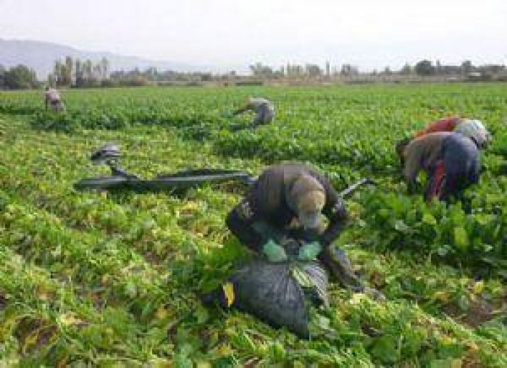 Intervinieron en defensa de los trabajadores migrantes