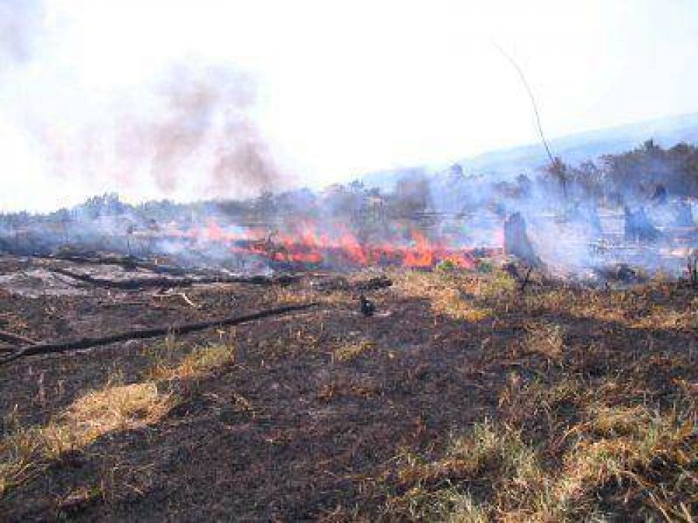 Tres frentes de incendios en la provincia