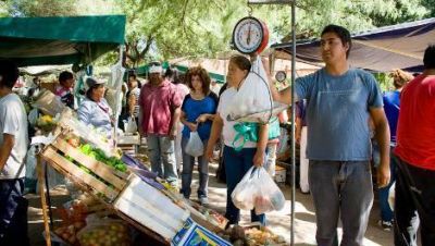 La feria municipal regula los precios de las frutas y verduras