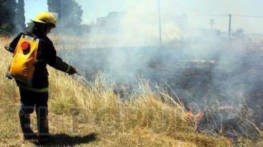 Se produjeron varios incendios de pastos en diferentes sectores