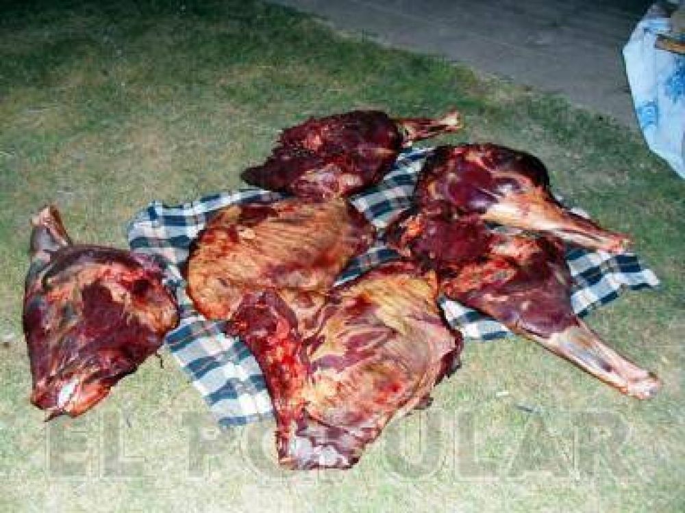 Secuestraron carne que era transportada en una moto