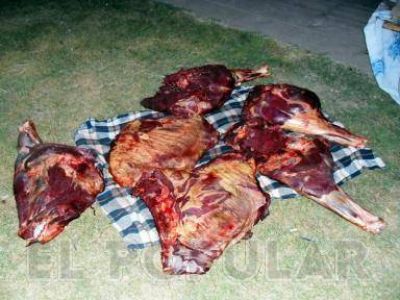 Secuestraron carne que era transportada en una moto