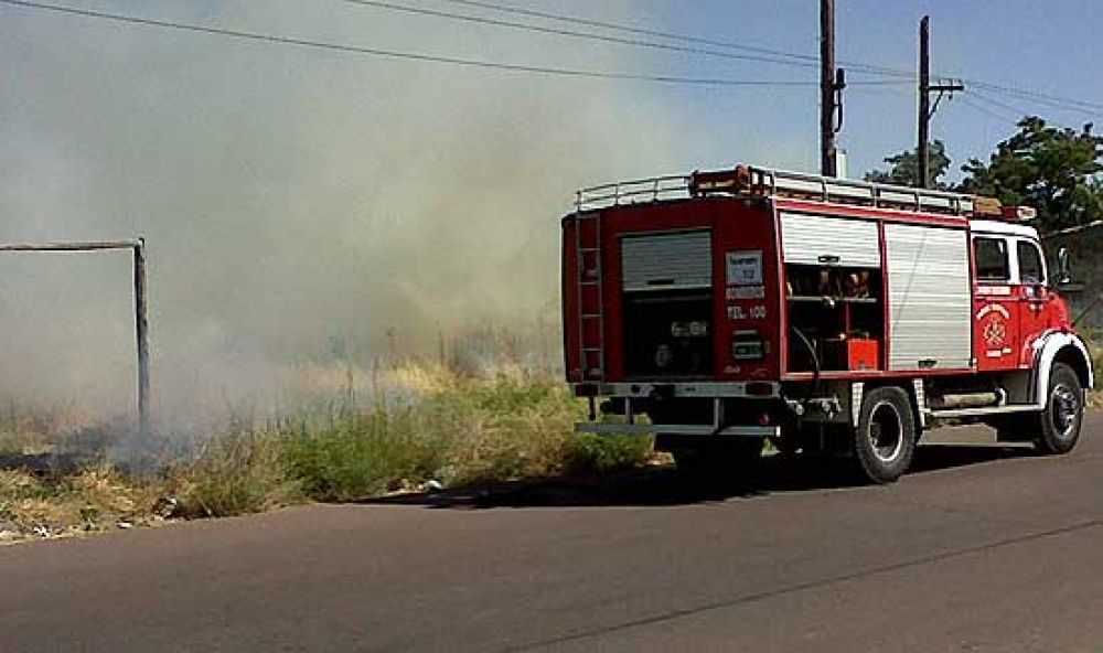 Cuatro incendios forestales se registraron durante el domingo