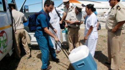 Confirman que en Chubut se realizaron 14 trasplantes de �rganos