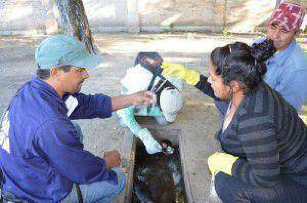 Prevenci�n y control del dengue demanda una tarea constante en toda la provincia