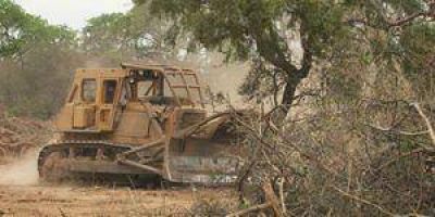 Formosa: tercera en deforestaci�n de bosques