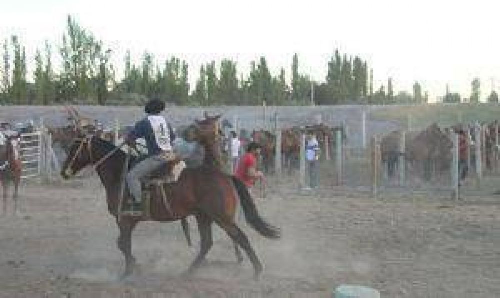 Festival en M�dano de Oro: Por primera vez una ONG pide que no haya domas