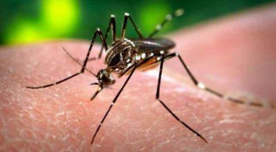 Se registraron dos nuevos casos probables de dengue