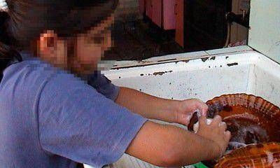 Crecen los casos de trabajo infantil cuando ni�os est�n a cargo de la casa