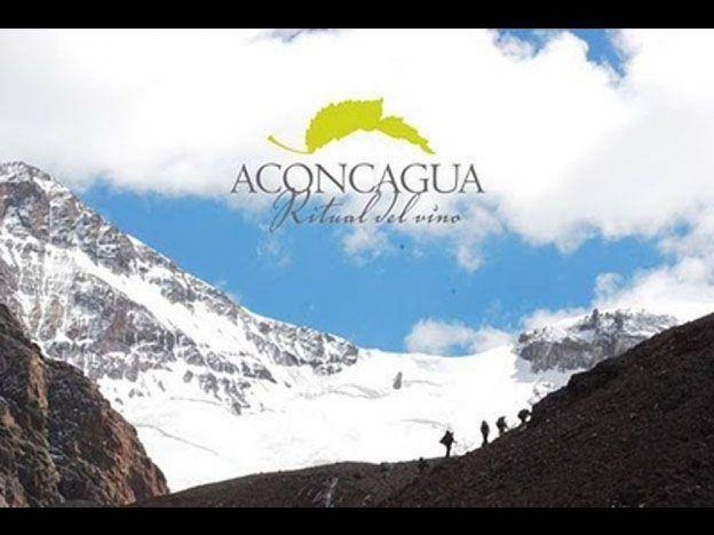 El vino, postal de Mendoza