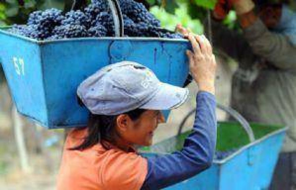 Paritarias vitivin�colas para fijar salarios y el valor del tacho de uva