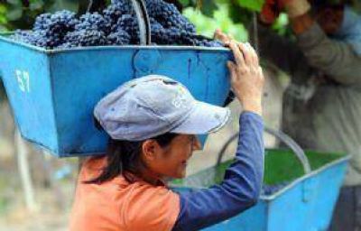 Paritarias vitivin�colas para fijar salarios y el valor del tacho de uva