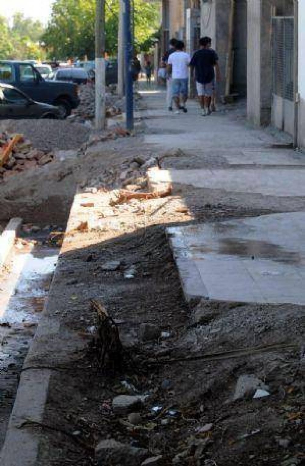 Vecinos cuestionan la erradicaci�n de �rboles frente al club Godoy Cruz