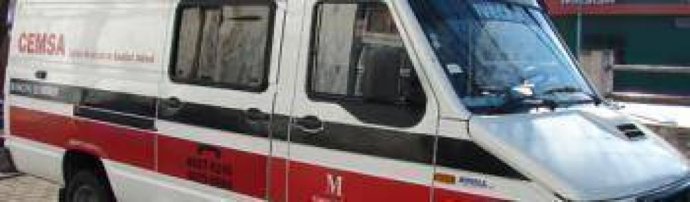 Quir�fano m�vil: vacunaci�n y esterilizaci�n gratuita de mascotas