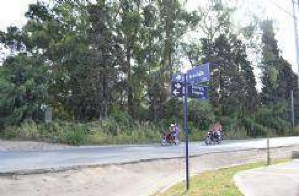 Vecinos denuncian que un terreno parece una �jungla�