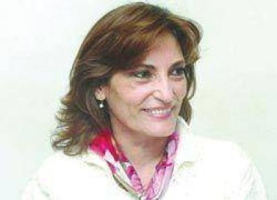 El Concejo insistir� por la situaci�n de las whisker�as.