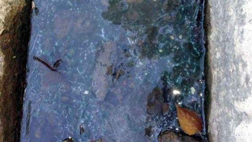 Lo que faltaba: �Caca en la cuneta!