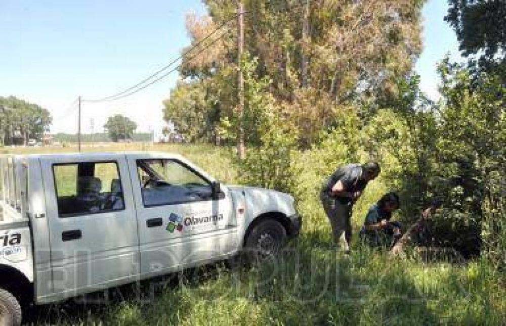 Por el momento no se ha detectado dengue en la ciudad