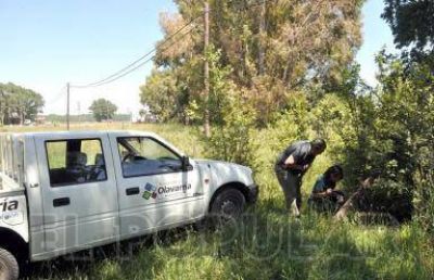 Por el momento no se ha detectado dengue en la ciudad