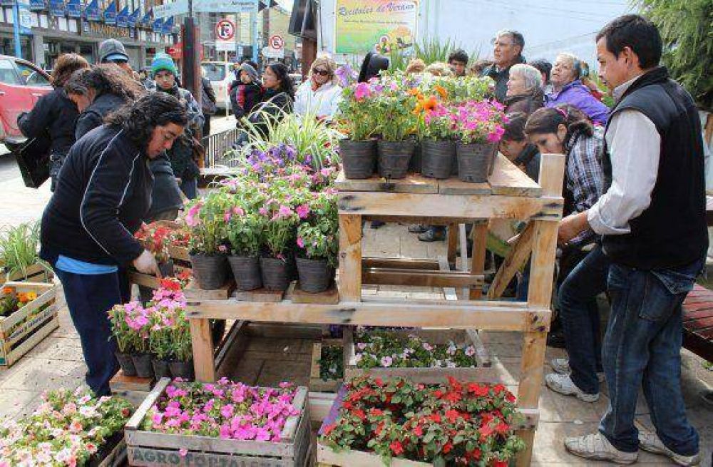 Entrega de plantines, m�sica, cuidado de mascotas y tr�mites