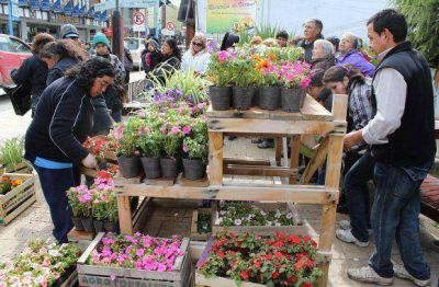 Entrega de plantines, m�sica, cuidado de mascotas y tr�mites