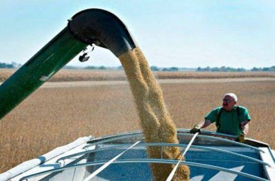 La soja est� en valores m�ximos y el fisco podr�a recaudar US$8.500 millones