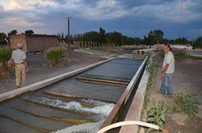 250 personas con diarrea por una bacteria en el agua	