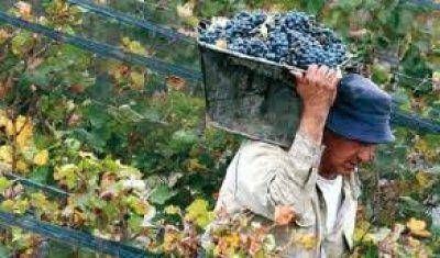 Paritarias vitivin�colas: los empleados de vi�as pidieron un 38% de aumento
