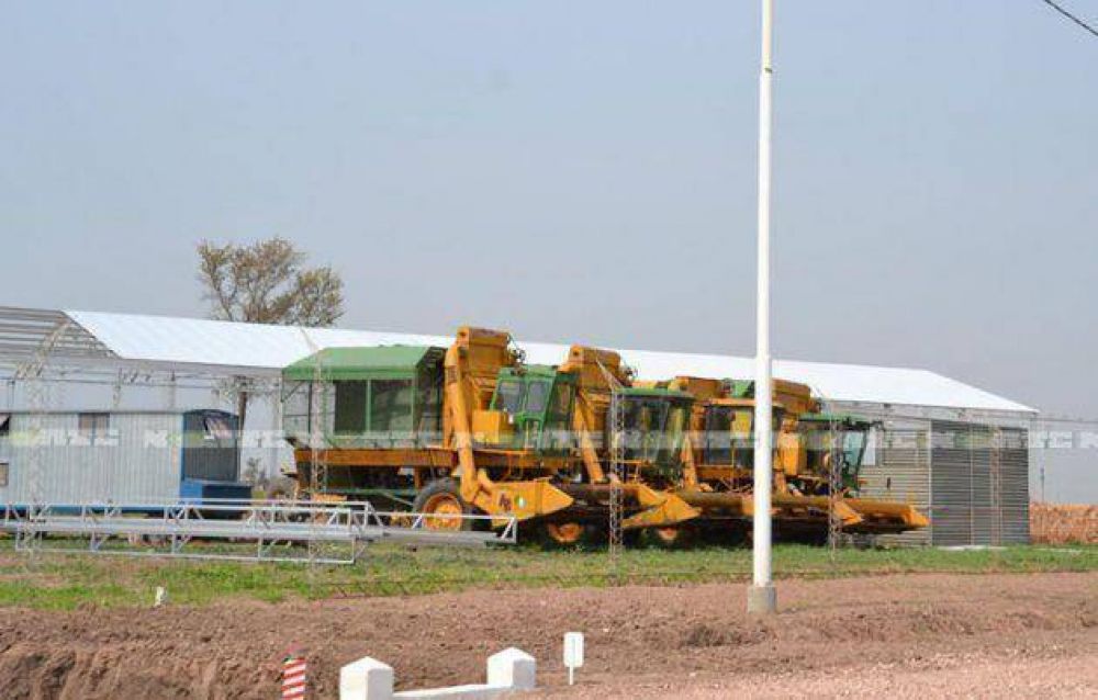La disminuci�n de la superficie con algod�n preocupa a las cooperativas con desmotadoras