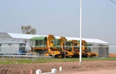 La disminuci�n de la superficie con algod�n preocupa a las cooperativas con desmotadoras