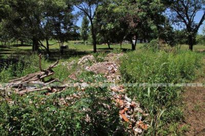 Vecinos de Villa Fabiana Sur reclaman por descarga de escombros y yuyales