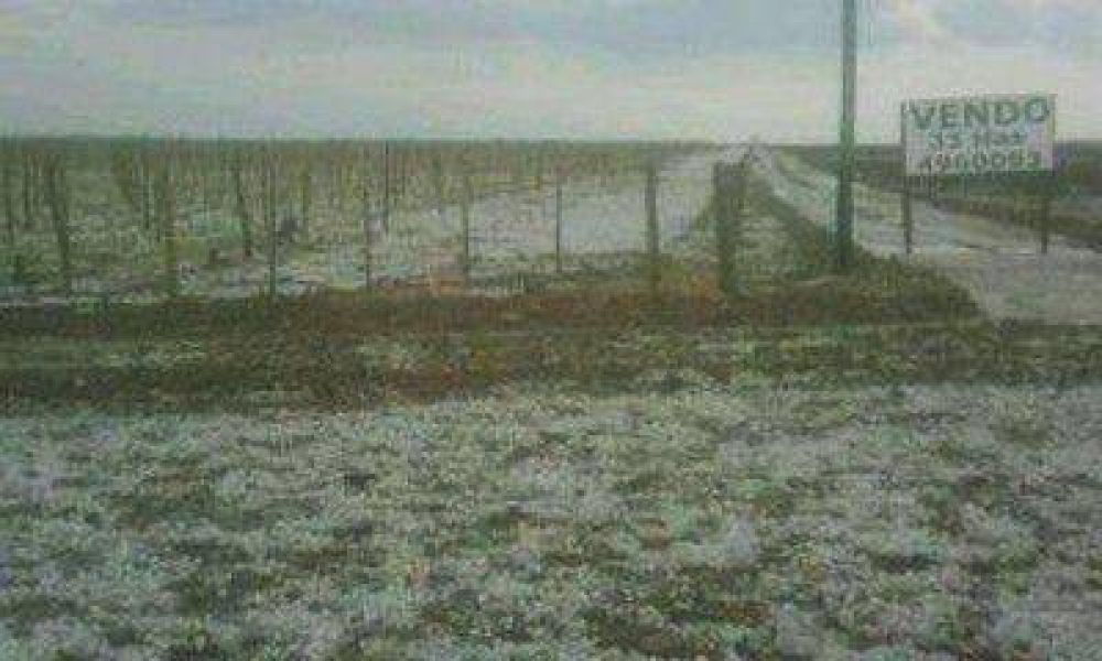 La tormenta en Mendoza: m�s de 50 familias asistidas en Luj�n y accidentes en la Ruta 40