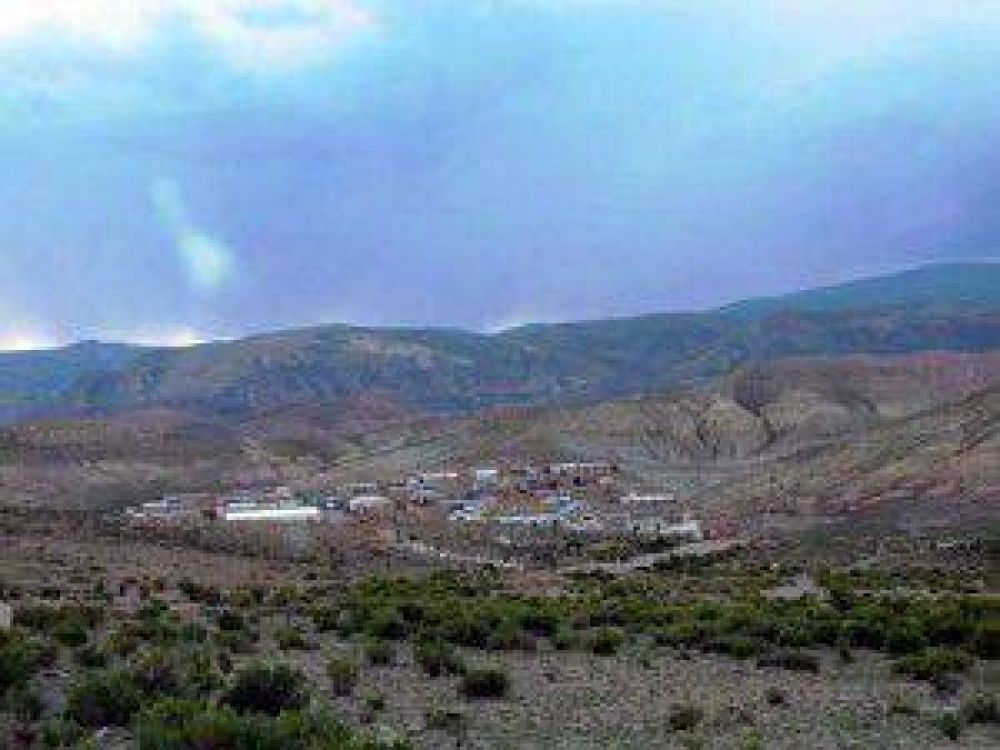 M�s exploraci�n: Nuevos Proyectos en Chinchillas