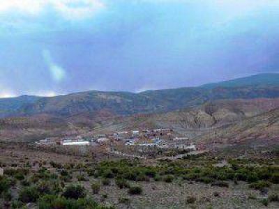 M�s exploraci�n: Nuevos Proyectos en Chinchillas