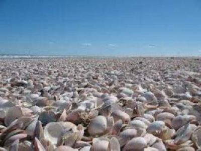 Las carencias del puerto y de la costa