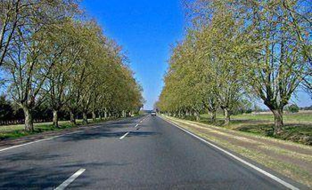 Autov�a N� 8: en febrero se abrir� la licitaci�n para construir un nuevo tramo