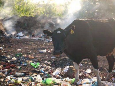 Denuncian que el basural de calle 55 sigue activo
