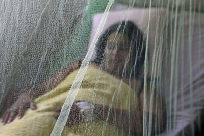Elevan a 19 la cifra de fallecidos por dengue en Paraguay en lo que va de 2013