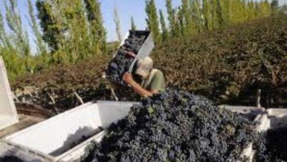 Pretenden incluir a Catamarca en el acuerdo por el cupo del mosto