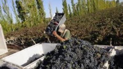Pretenden incluir a Catamarca en el acuerdo por el cupo del mosto