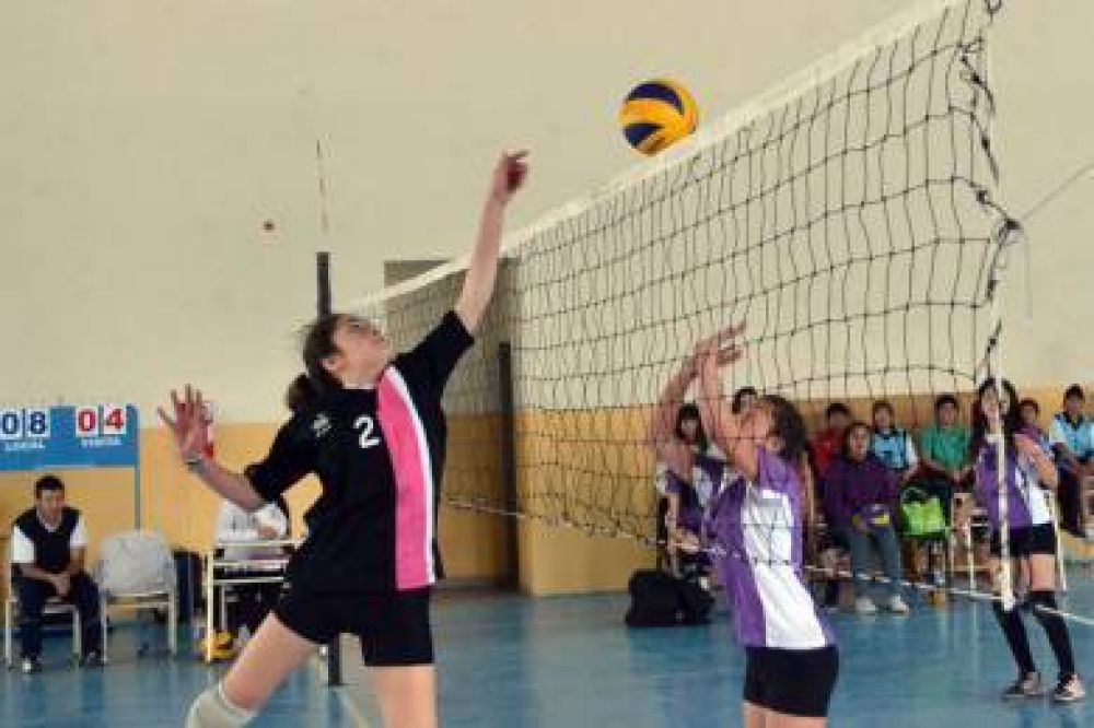 Comodoro ser� sede del Provincial Sub 14 de V�ley