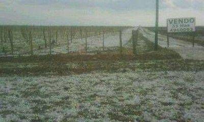 La tormenta en Mendoza afect� 12 mil hect�reas cultivables de San Mart�n